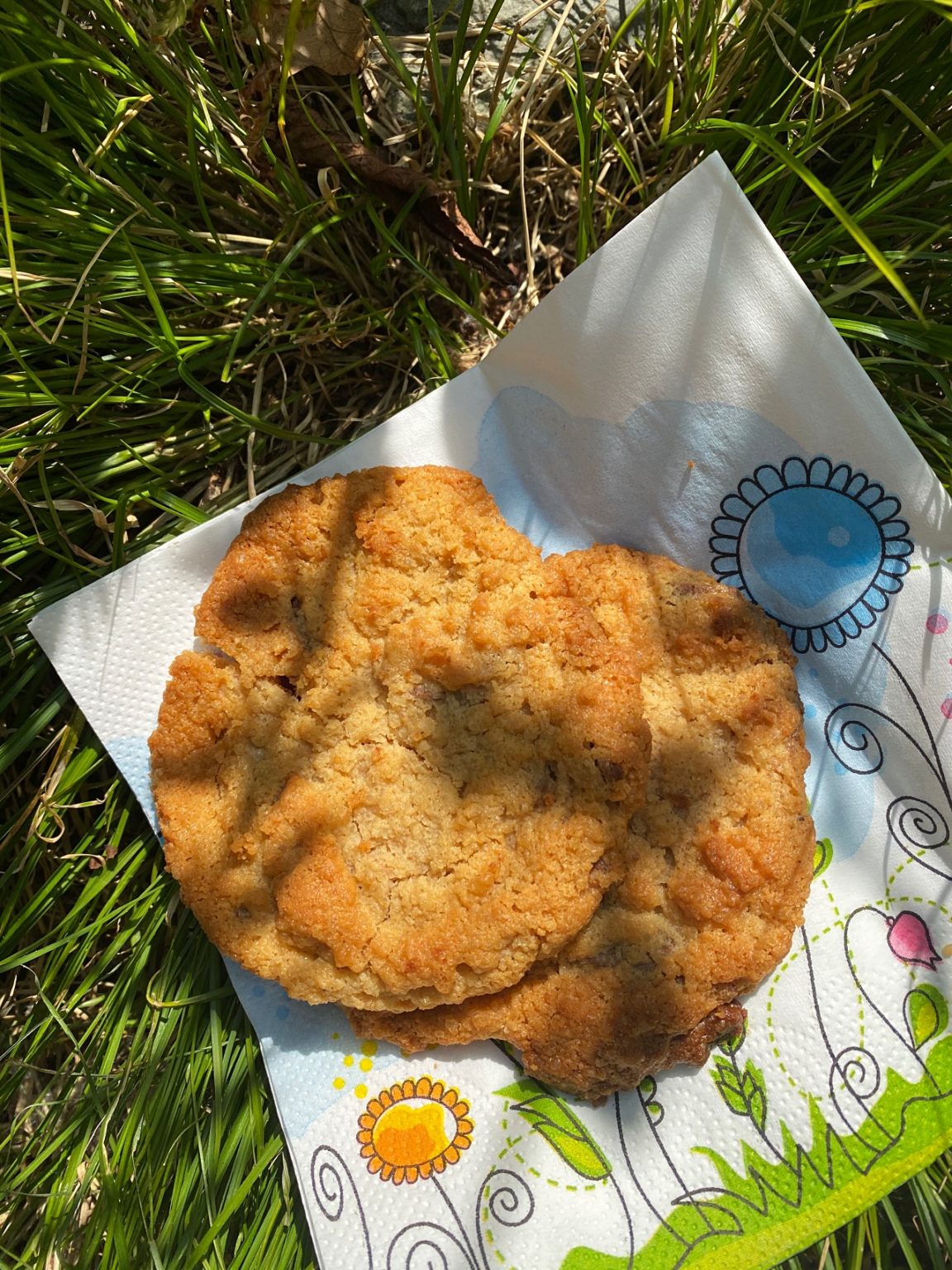 Erdnussbutter-Knusper-Cookies // ohne Ei – Reges Leben